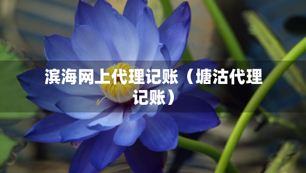 濱海網(wǎng)上代理記賬（塘沽代理記賬）