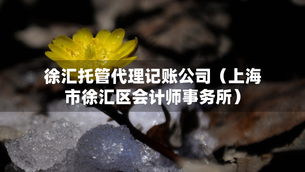 徐匯托管代理記賬公司（上海市徐匯區(qū)會計師事務(wù)所）