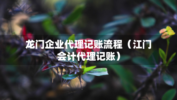 龍門企業(yè)代理記賬流程（江門會計(jì)代理記賬）