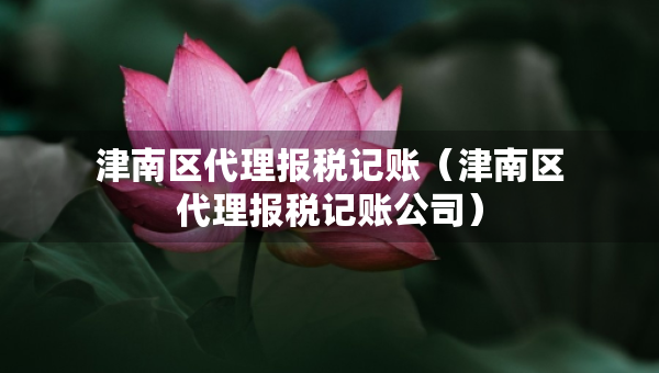 津南區(qū)代理報(bào)稅記賬（津南區(qū)代理報(bào)稅記賬公司）