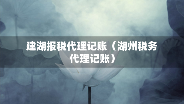 建湖報稅代理記賬（湖州稅務代理記賬）