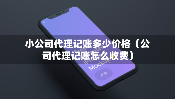 小公司代理記賬多少價(jià)格（公司代理記賬怎么收費(fèi)）