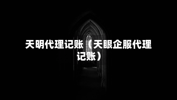 天明代理記賬（天眼企服代理記賬）