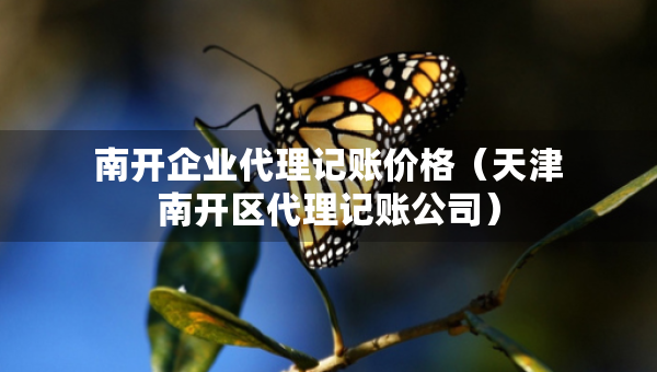 南開(kāi)企業(yè)代理記賬價(jià)格（天津南開(kāi)區(qū)代理記賬公司）