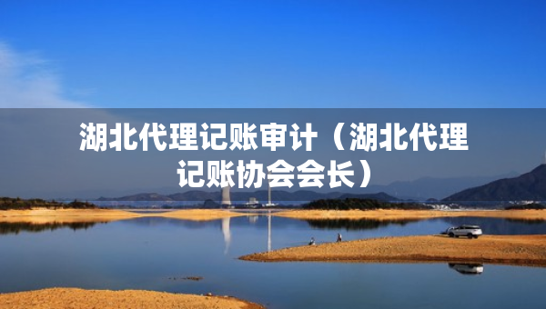 湖北代理記賬審計(jì)（湖北代理記賬協(xié)會(huì)會(huì)長(zhǎng)）