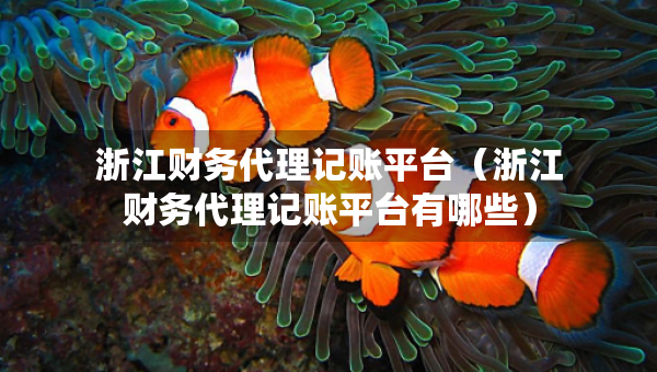 浙江財(cái)務(wù)代理記賬平臺(tái)（浙江財(cái)務(wù)代理記賬平臺(tái)有哪些）