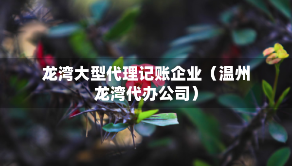 龍灣大型代理記賬企業(yè)（溫州龍灣代辦公司）