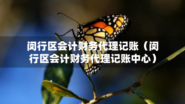 閔行區(qū)會計(jì)財(cái)務(wù)代理記賬（閔行區(qū)會計(jì)財(cái)務(wù)代理記賬中心）