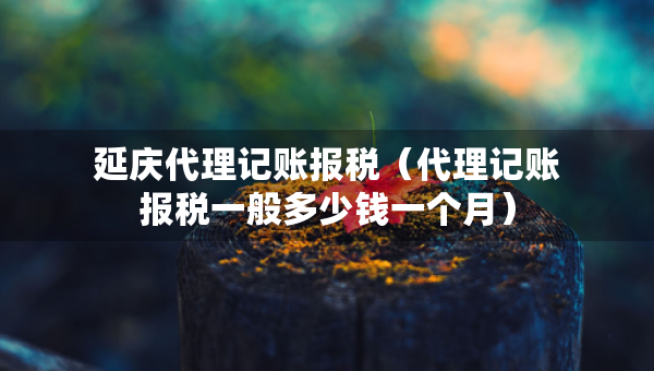 延慶代理記賬報稅（代理記賬報稅一般多少錢一個月）