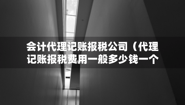 會計代理記賬報稅公司（代理記賬報稅費用一般多少錢一個月）