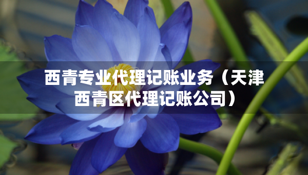 西青專業(yè)代理記賬業(yè)務(wù)（天津西青區(qū)代理記賬公司）