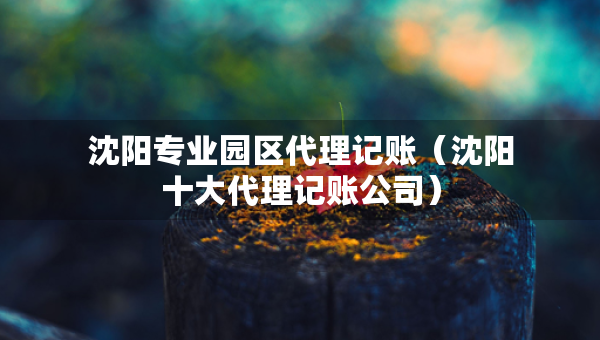 沈陽專業(yè)園區(qū)代理記賬（沈陽十大代理記賬公司）