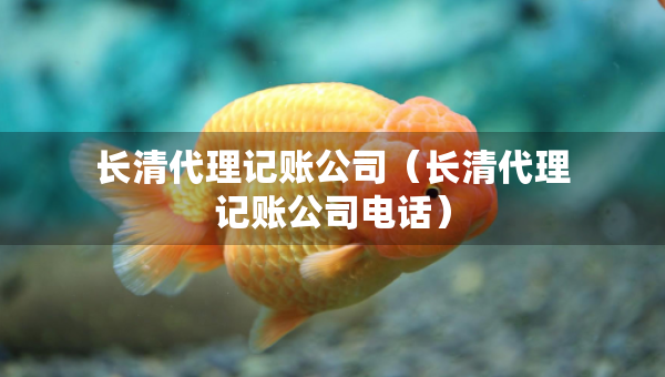 長(zhǎng)清代理記賬公司（長(zhǎng)清代理記賬公司電話(huà)）