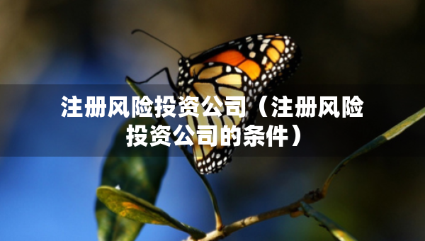 注冊(cè)風(fēng)險(xiǎn)投資公司（注冊(cè)風(fēng)險(xiǎn)投資公司的條件）