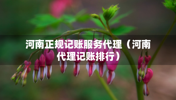 河南正規(guī)記賬服務(wù)代理（河南代理記賬排行）