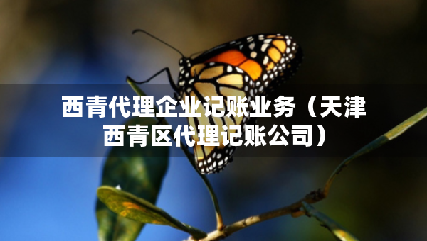 西青代理企業(yè)記賬業(yè)務(wù)（天津西青區(qū)代理記賬公司）