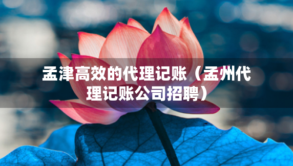 孟津高效的代理記賬（孟州代理記賬公司招聘）