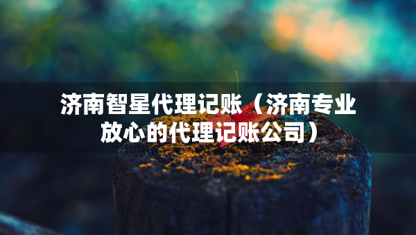 濟南智星代理記賬（濟南專業(yè)放心的代理記賬公司）