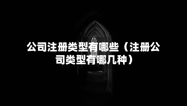 公司注冊(cè)類型有哪些（注冊(cè)公司類型有哪幾種）