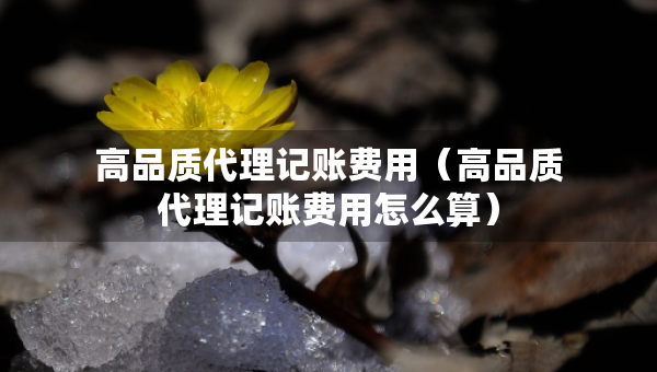 高品質(zhì)代理記賬費用（高品質(zhì)代理記賬費用怎么算）