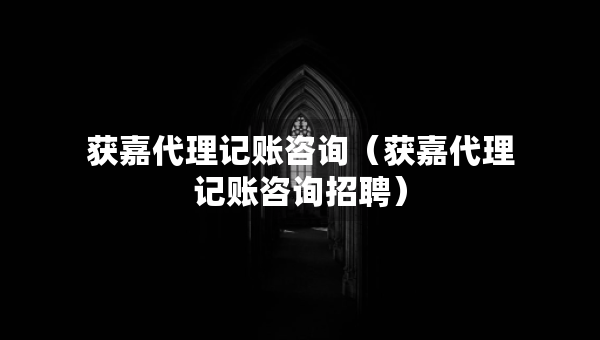 獲嘉代理記賬咨詢（獲嘉代理記賬咨詢招聘）